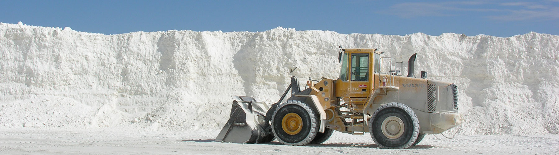 Diatomaceous Earth, Clay, Perlite & Cellulose minerals used as filter