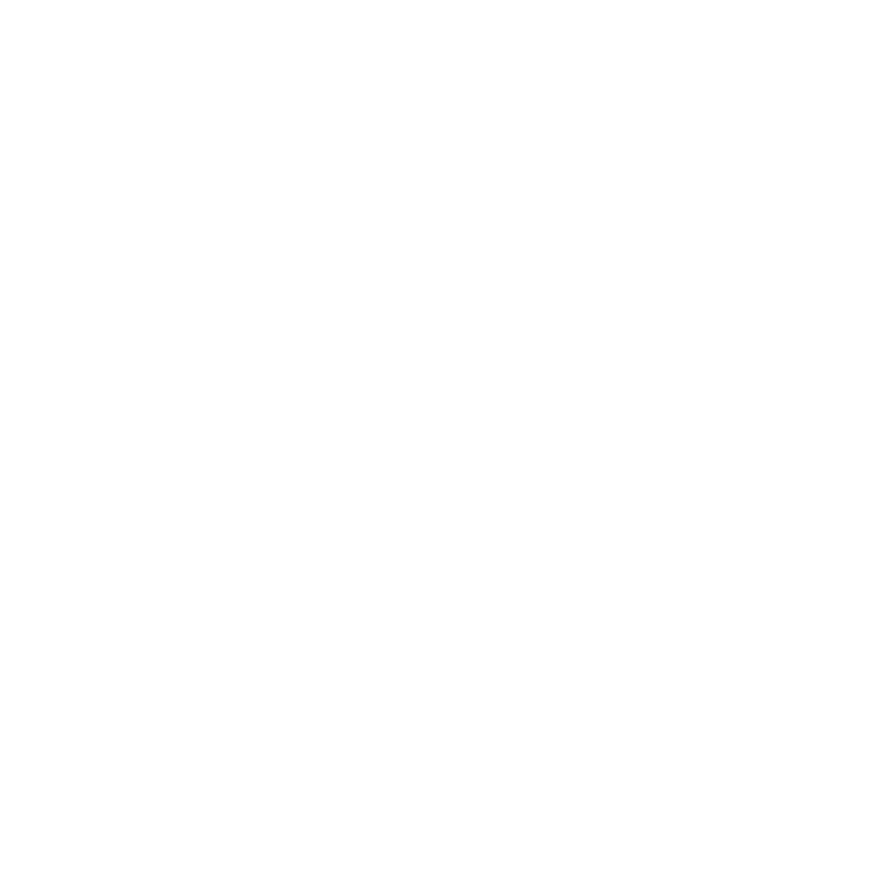 Ugly American