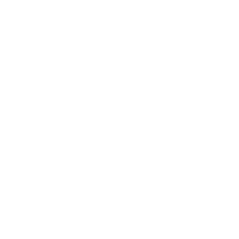 Black Bear