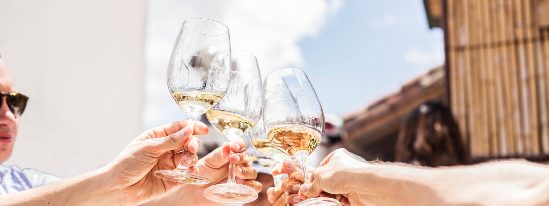 Descubra nuestra selección de vinos del mundo cuidadosamente curada por nuestra sommelier jefe.