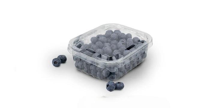 Arándano Premium x 250