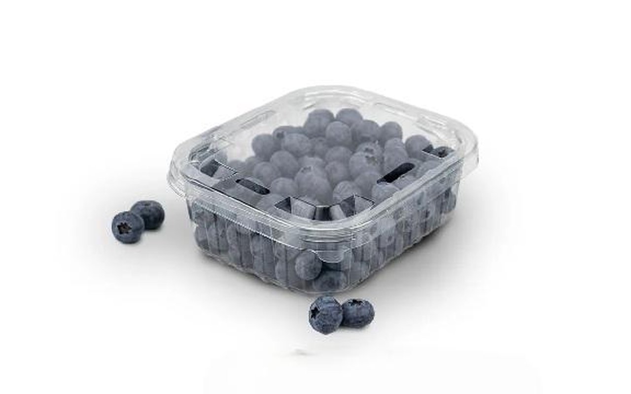 Arándano Premium x 250 1