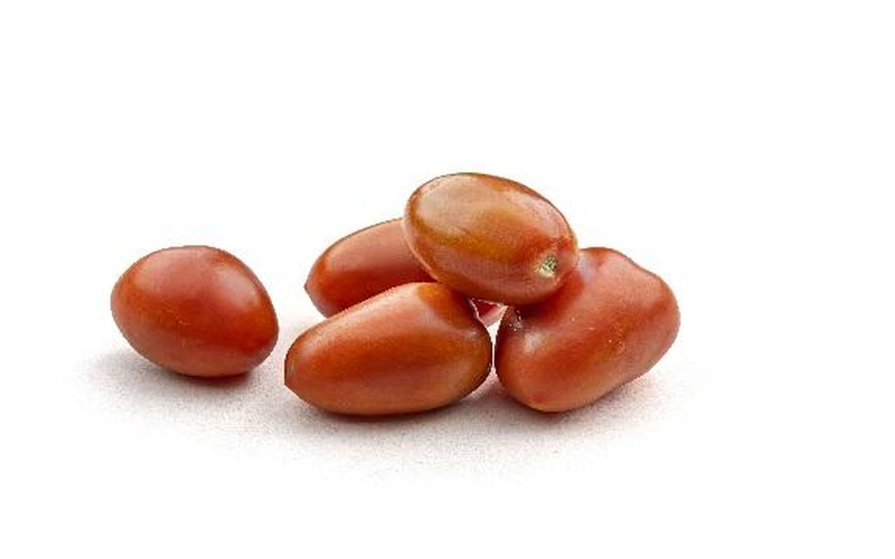 Tomate San Marzano  1