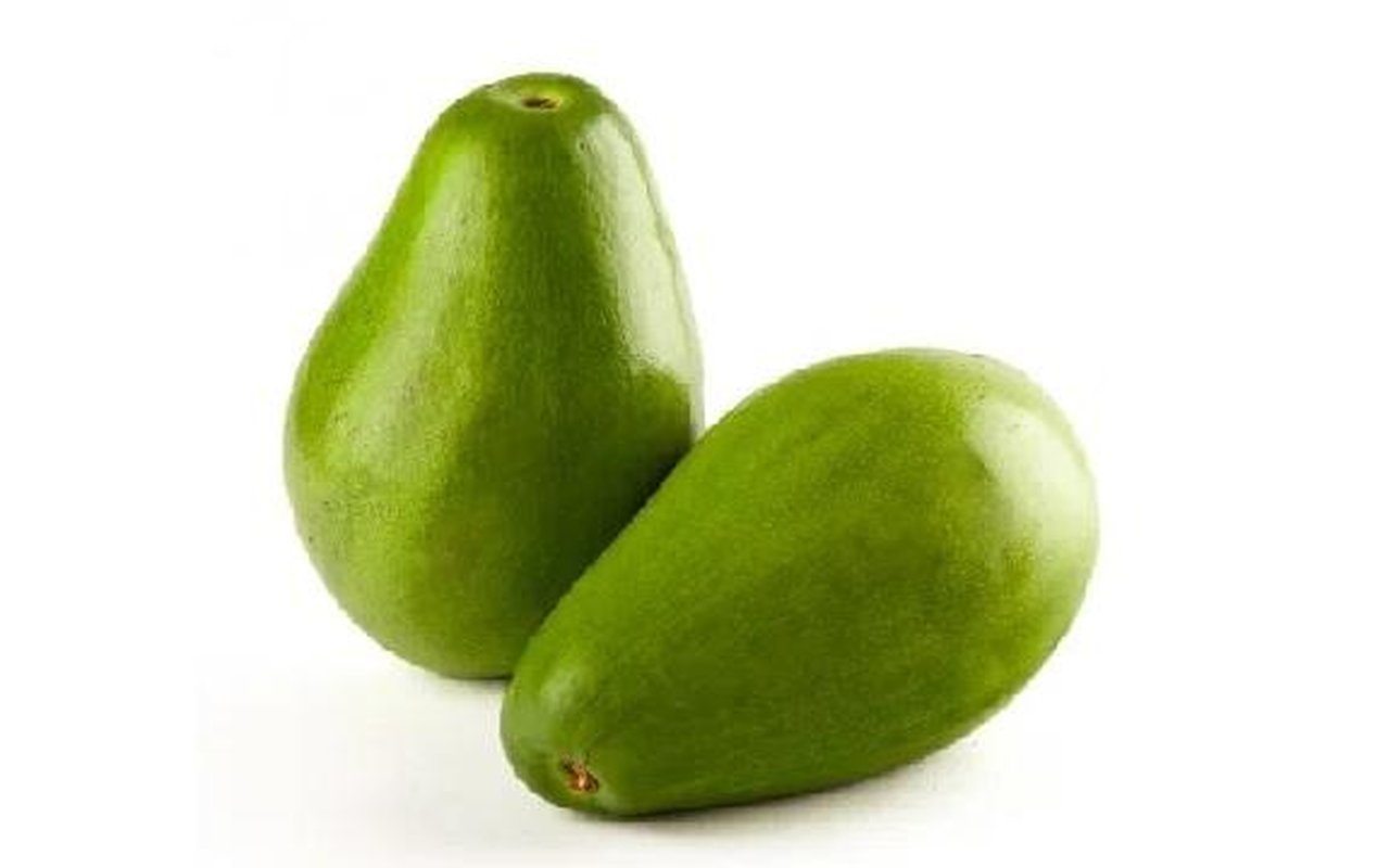 Aguacate Papelillo 1