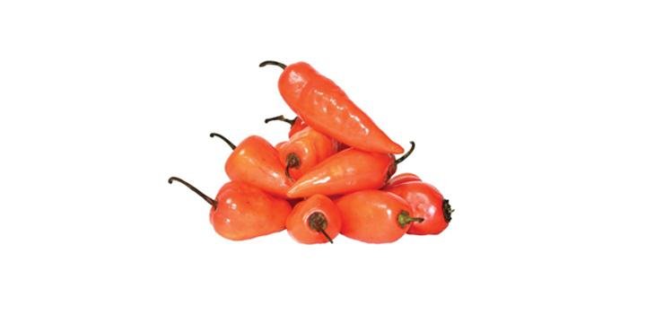 Ají Fresco Chiche Perro 