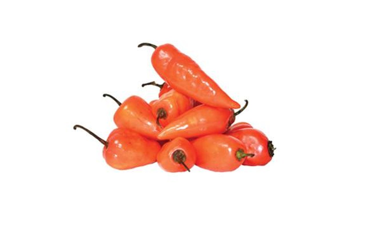 Ají Fresco Chiche Perro  1