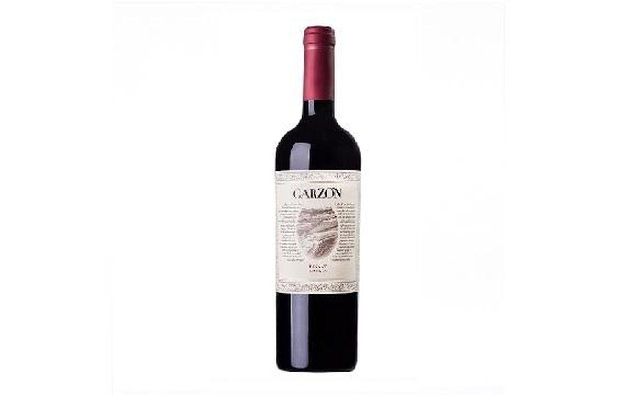 Garzón Reserva Tannat 1