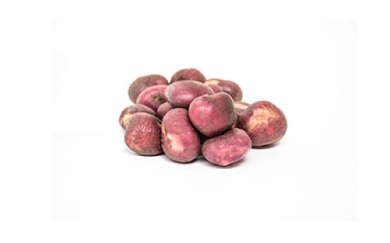 Papa Sabanera Riche 1