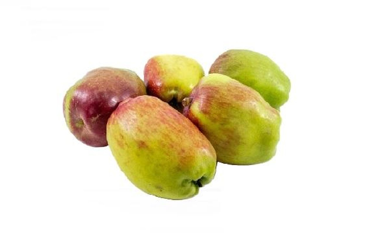 Manzana Nacional   1