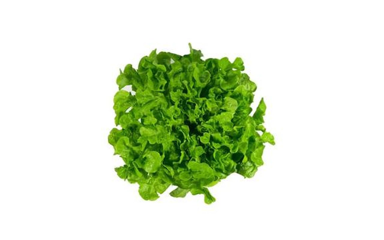 Lechuga Roble Verde x 140g 1