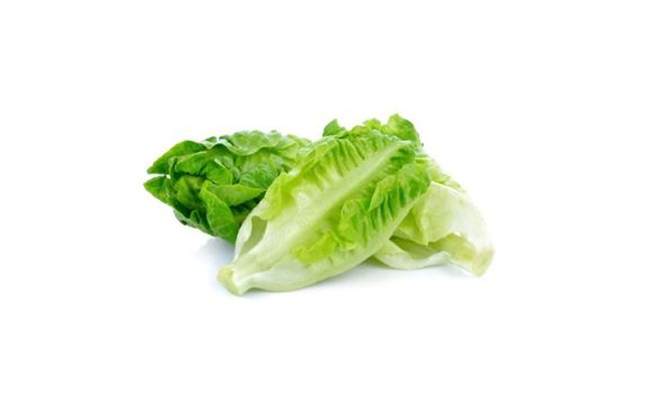 Cogollos Europeos  1