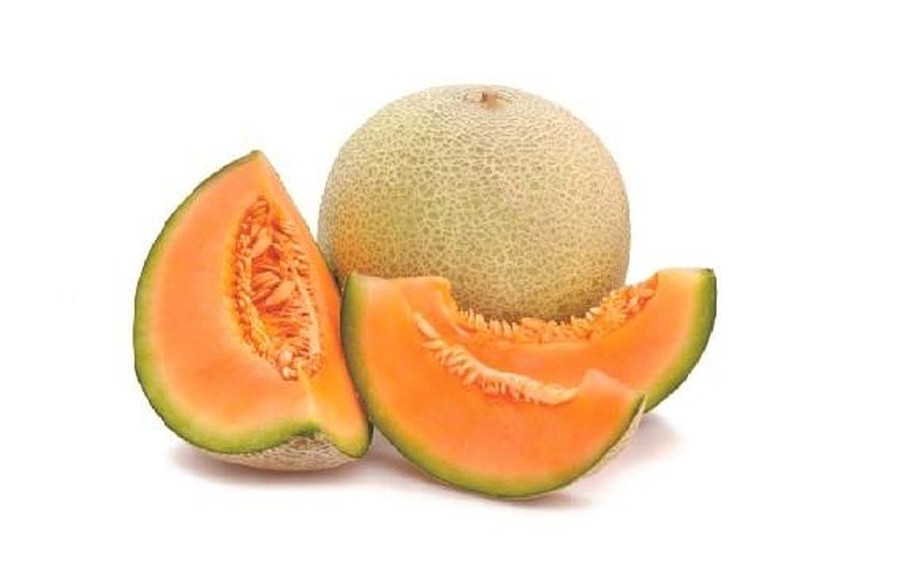 Melón   1