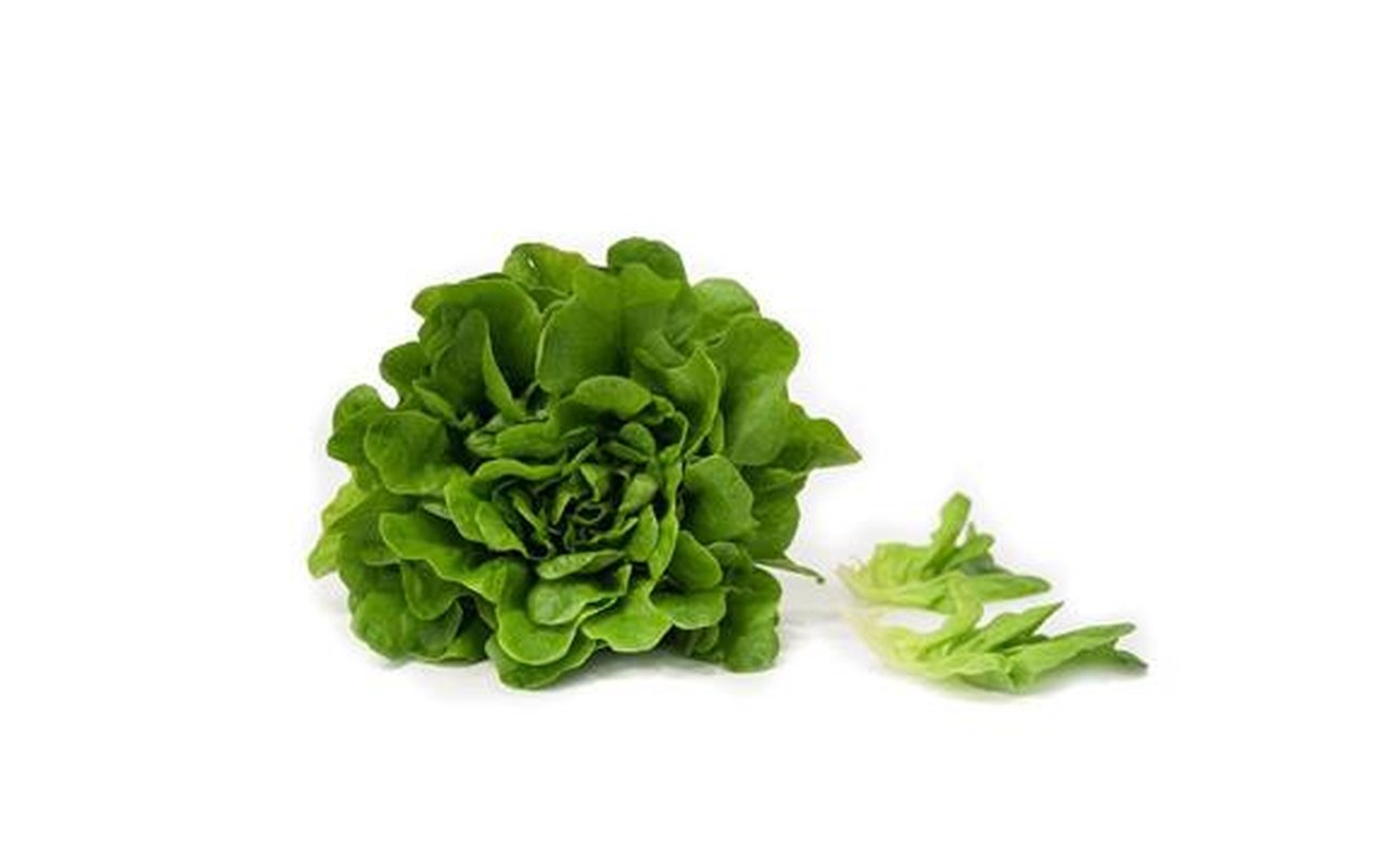 Lechuga Salanova Verde x 140g 1