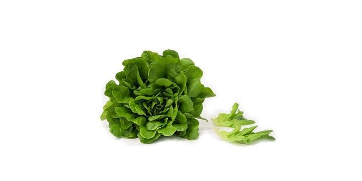 Lechuga Salanova Verde x 140g