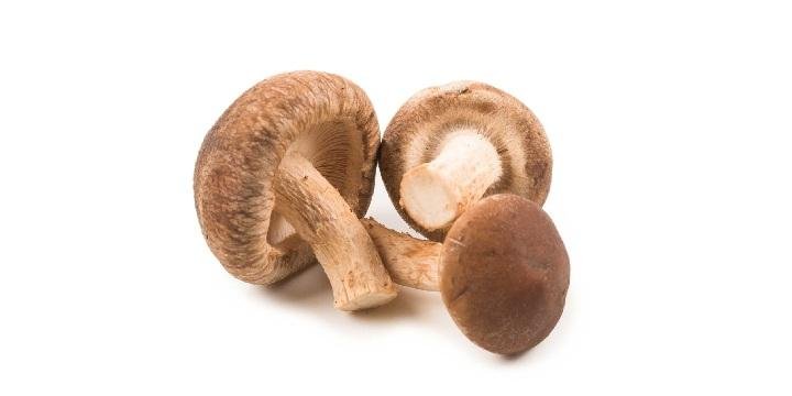 Shiitake Recién Cosechado