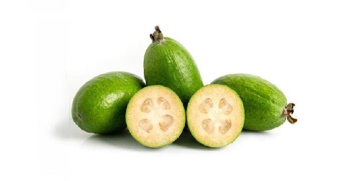 Feijoa 