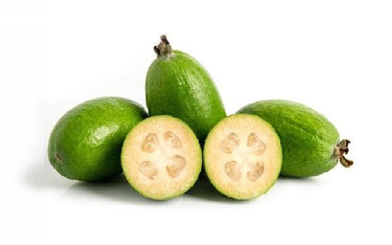 Feijoa  1