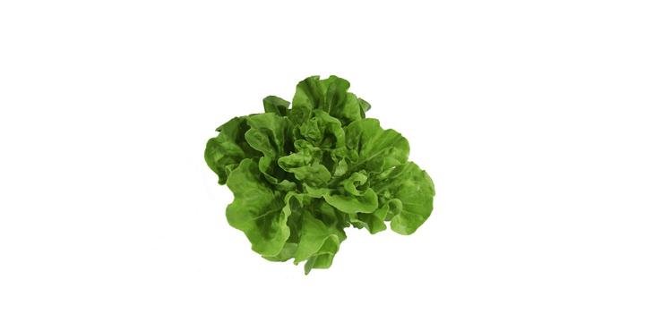 Lechuga Verde Lisa x 180g