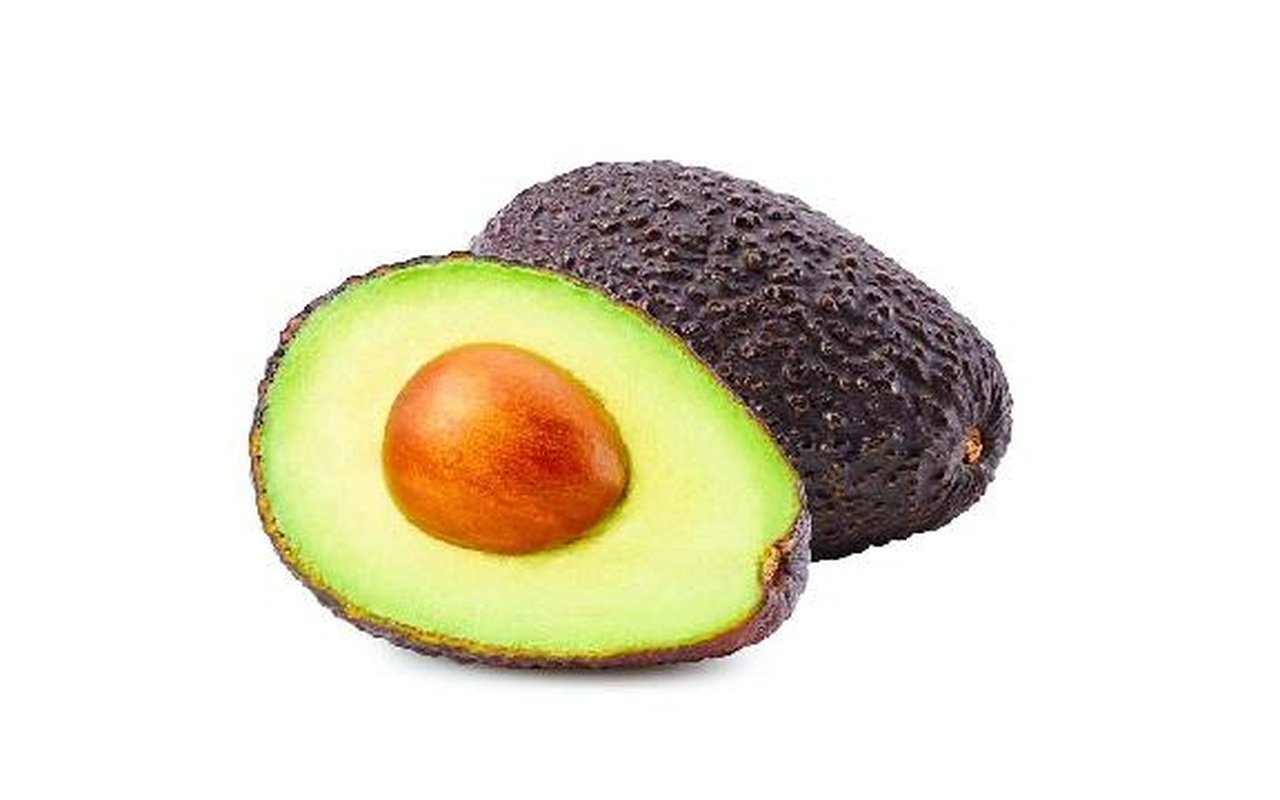 Aguacate Hass  1