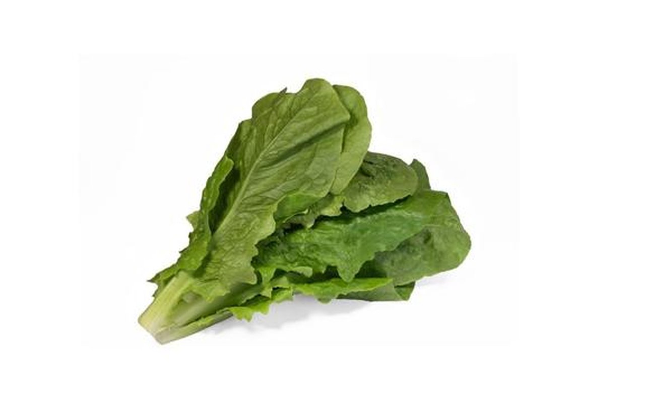 Lechuga Romana x 220gr 1