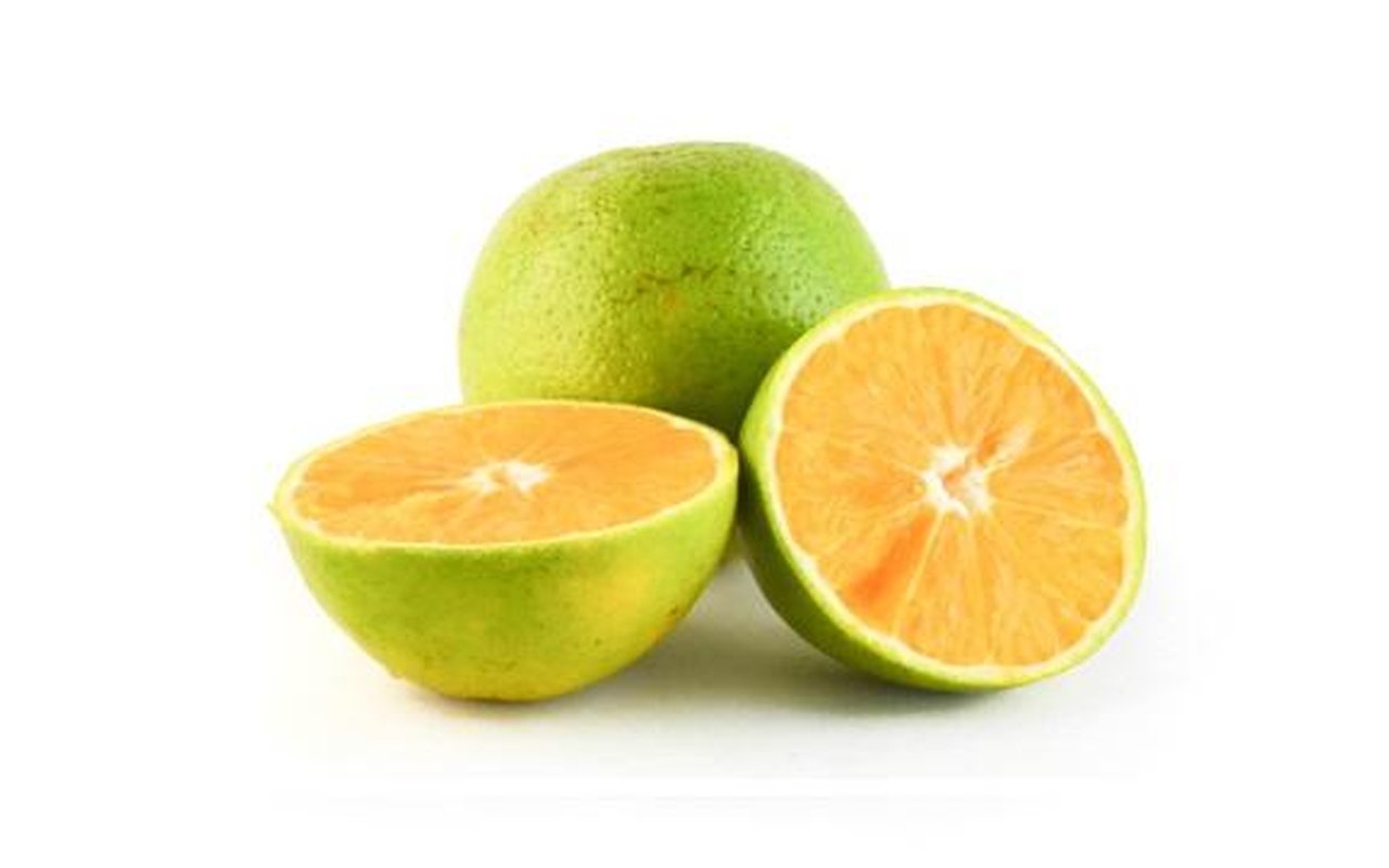 Naranja Valencia 1
