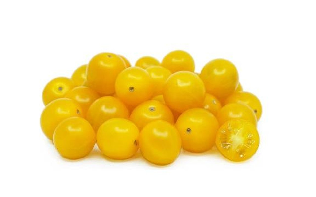 Tomate Cherry Amarillo Hidropónico  1