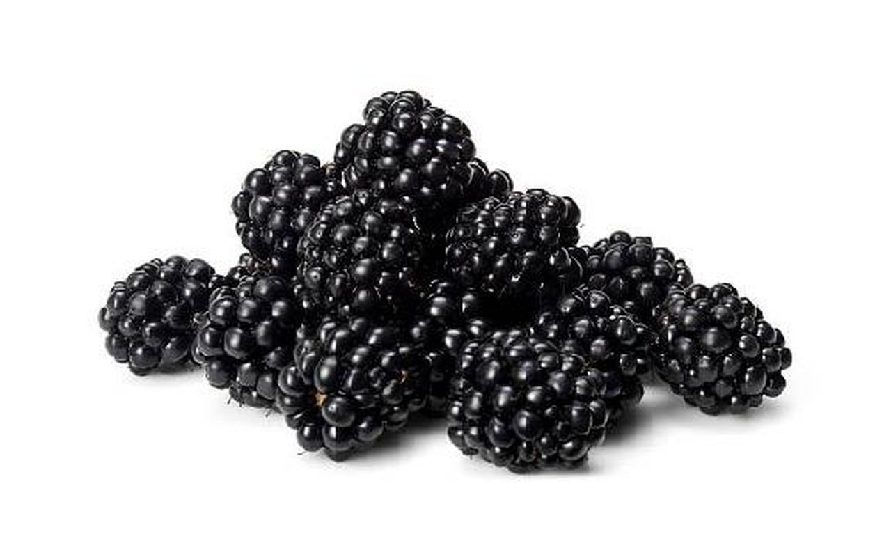 Zarzamoras Frescas 1