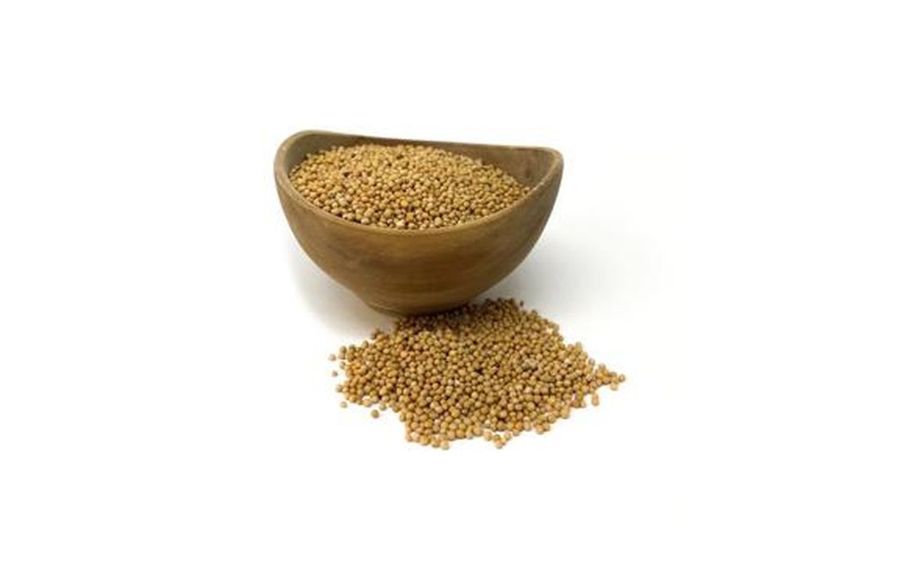 Semilla de Cilantro (Coriandro)  1