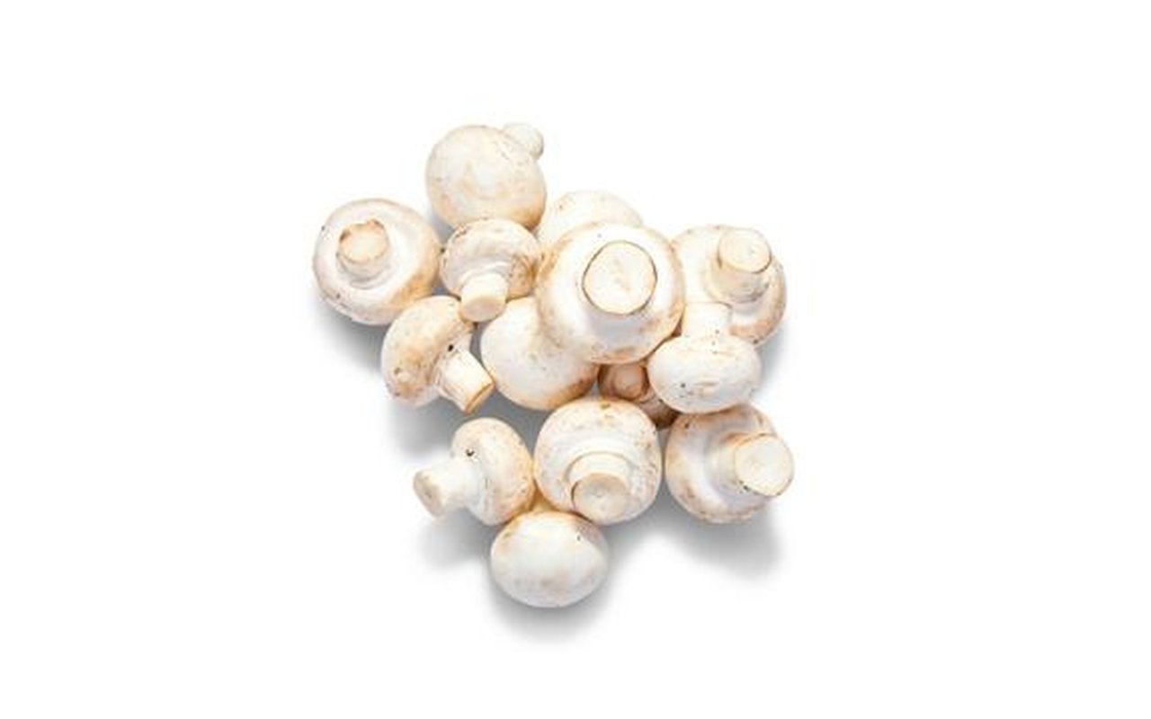 Champiñón Entero Blanco 1