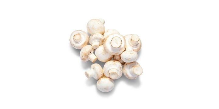 Champiñón Entero Blanco