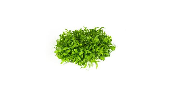 Brotes Cilantro x 30g