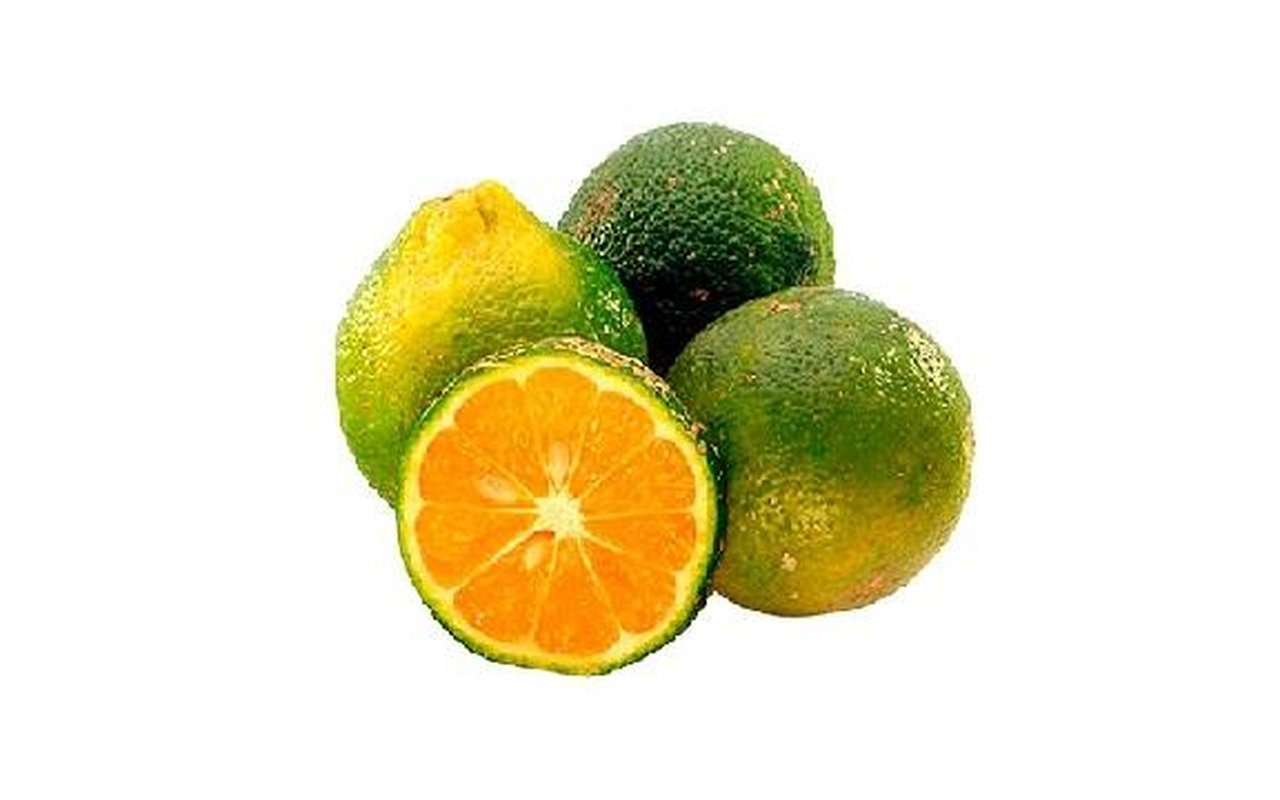 Limón Mandarino  1