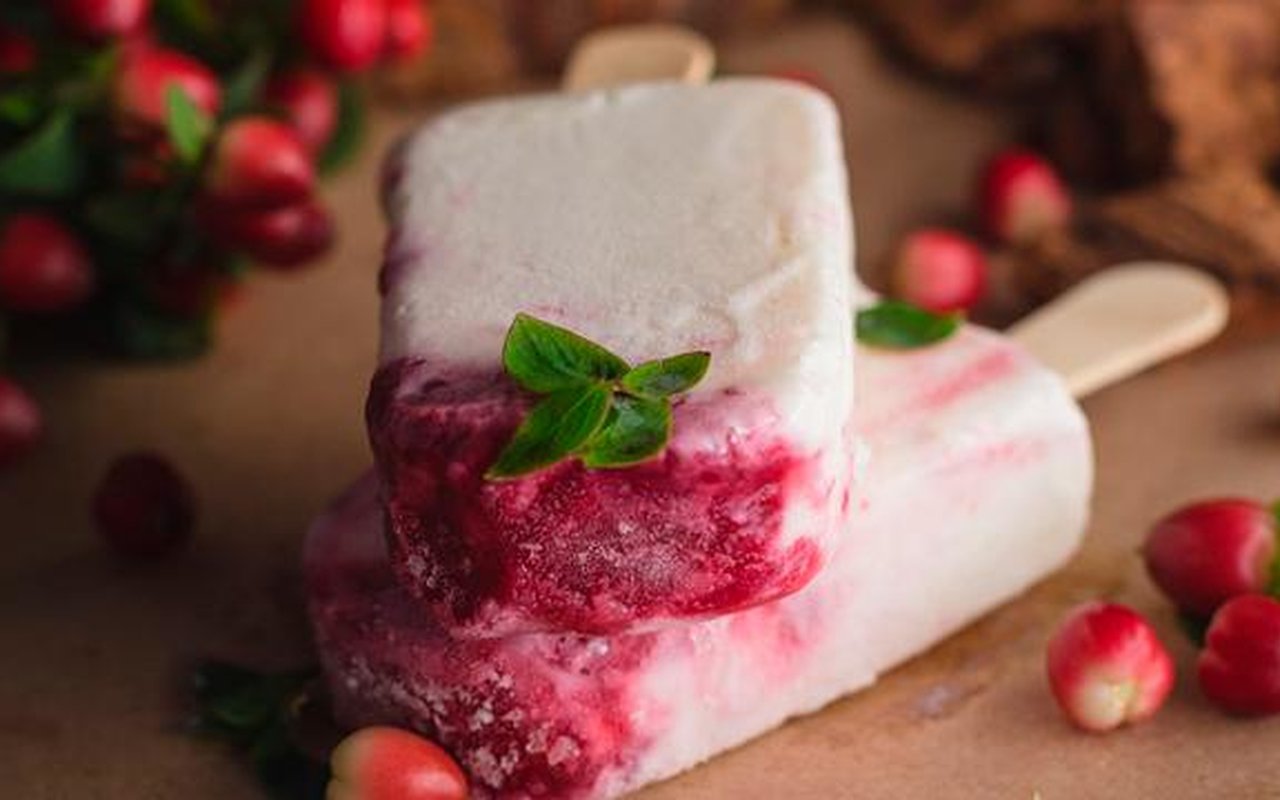 Paleta de Yogurt  y Frutos Rojos 1