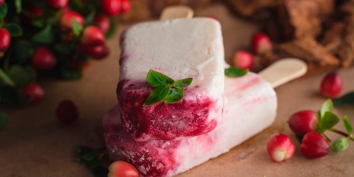 Paleta de Yogurt  y Frutos Rojos
