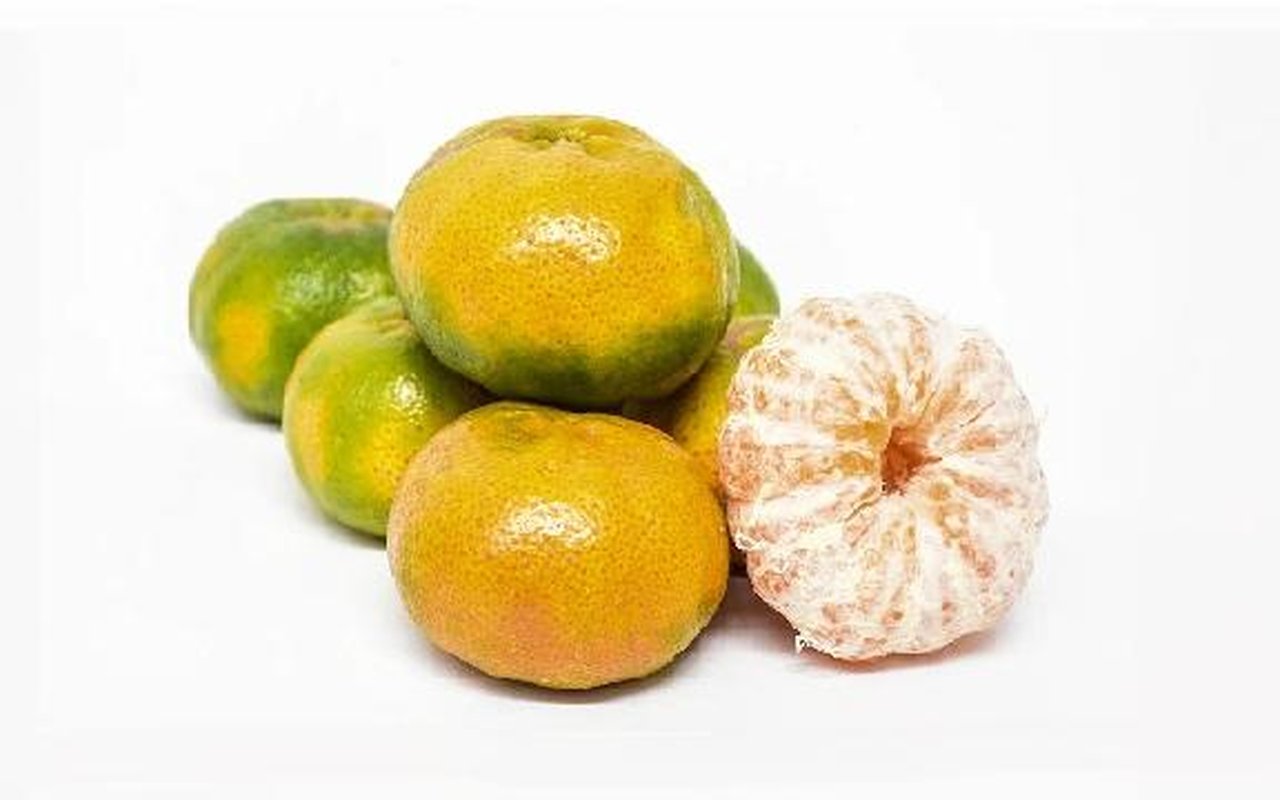 Mandarina Arrayana  1
