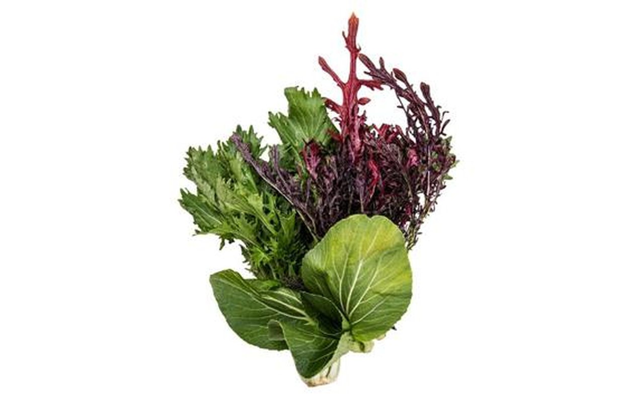 Mix de Lechugas Asiáticas  1