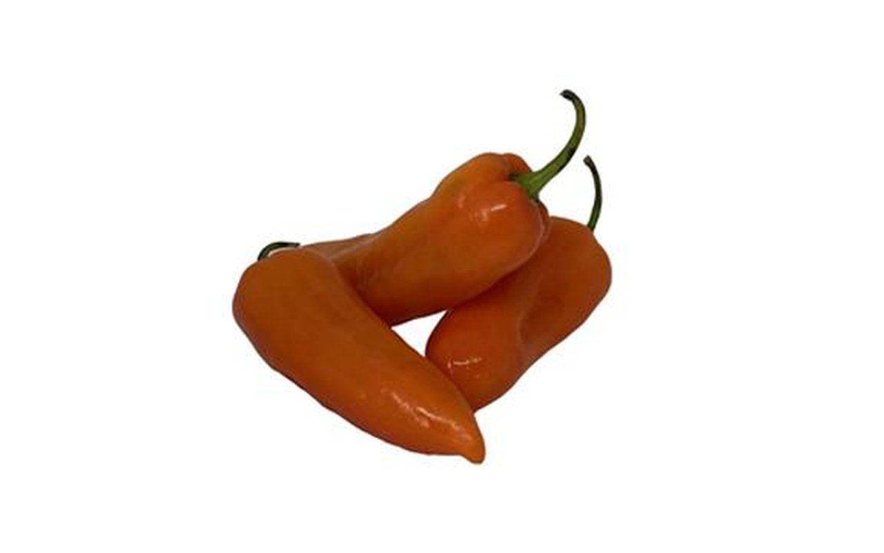 Ají Amarillo Fresco Nacional  1