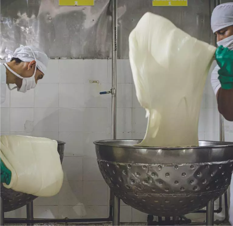 Problemática Queso del Caquetá