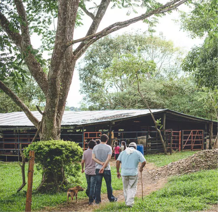 Mecanismo sostenible