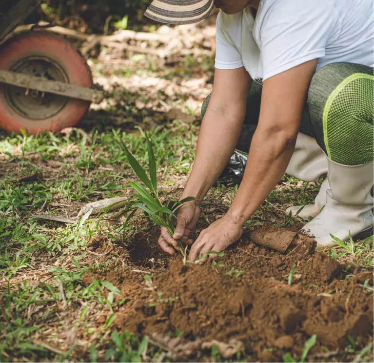 ¿Qué es Compensación Voluntaria?