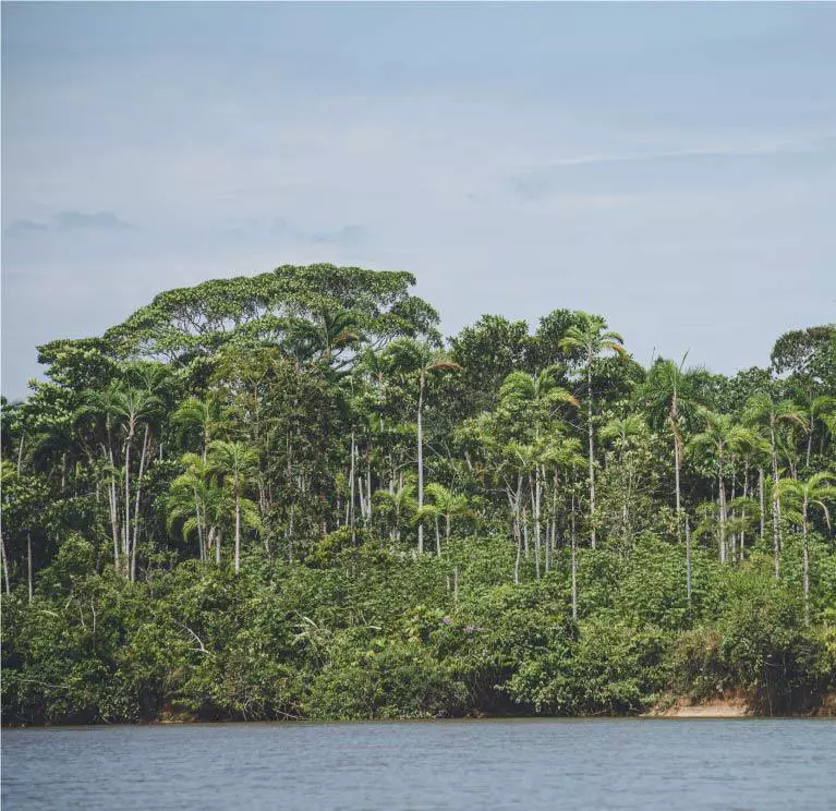 Reserva Natural San Francisco