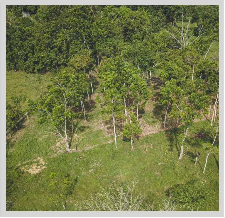 ¿Qué son las RNSC?