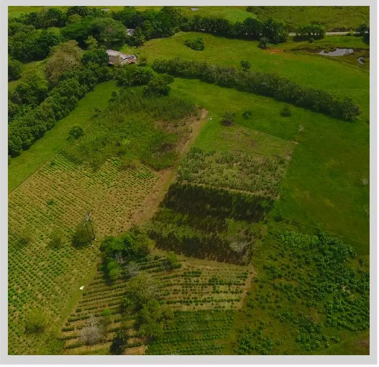 Concepto Compensación Voluntaria