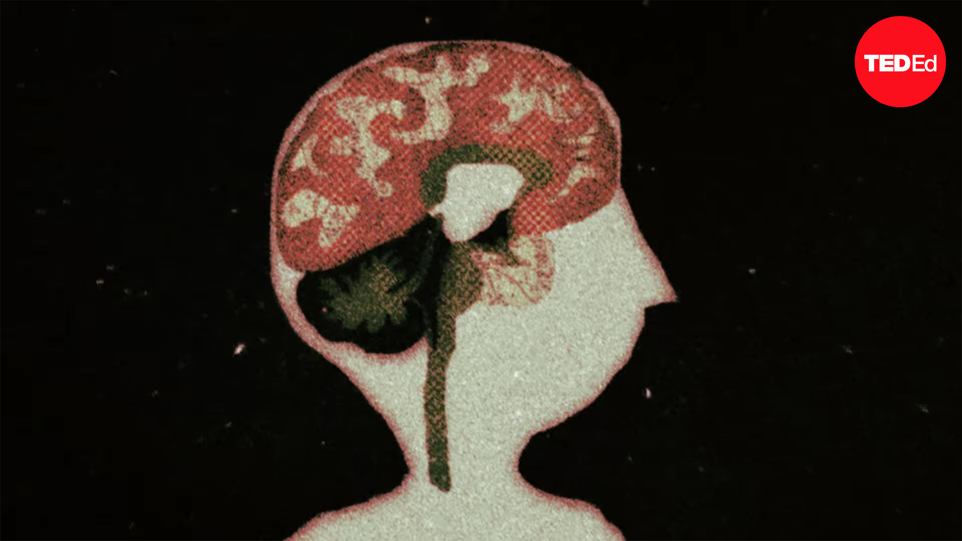 Straight Talk About Post-Traumatic Stress Disorder Coping With the Aftermath of Trauma