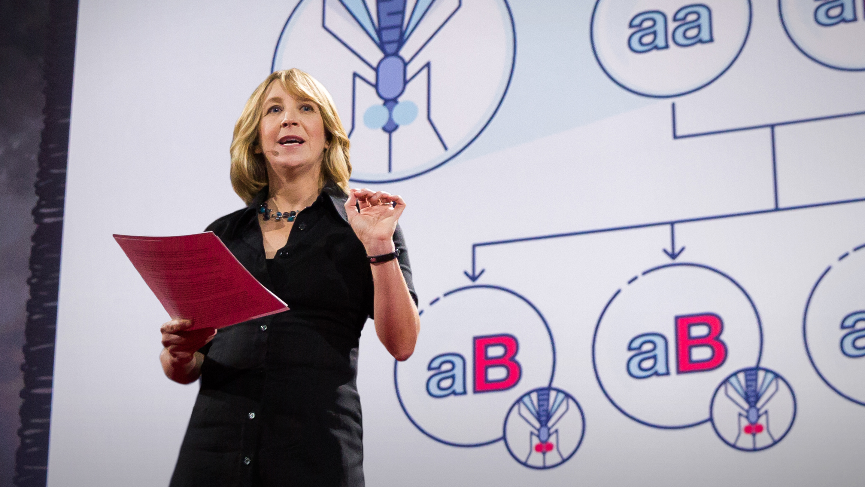 https www ted com talks sebastian kraves the era of personal dna testing is here
