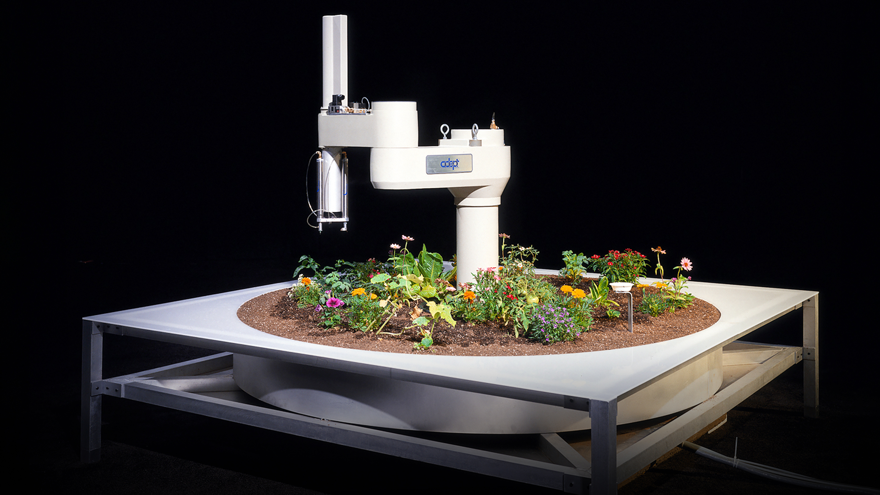 robin murphy ted talk