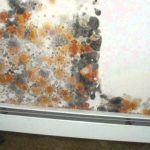 3 Essential Qualities In A Basement Waterproofing Company in Kansas City Kansas