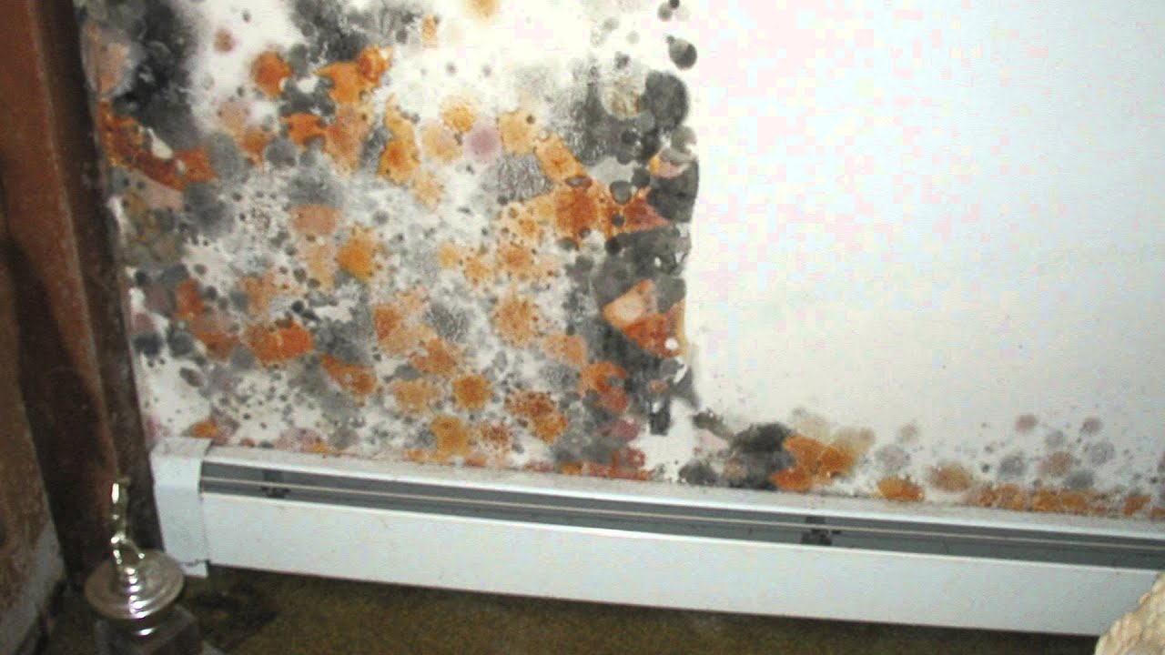 3 Essential Qualities In A Basement Waterproofing Company in Kansas City Kansas