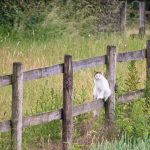 Deck in Branson MO – 4 Tips For Finding The Best Company