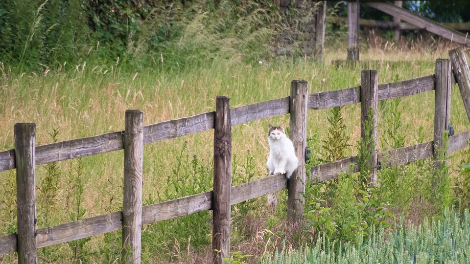 Deck in Branson MO – 4 Tips For Finding The Best Company